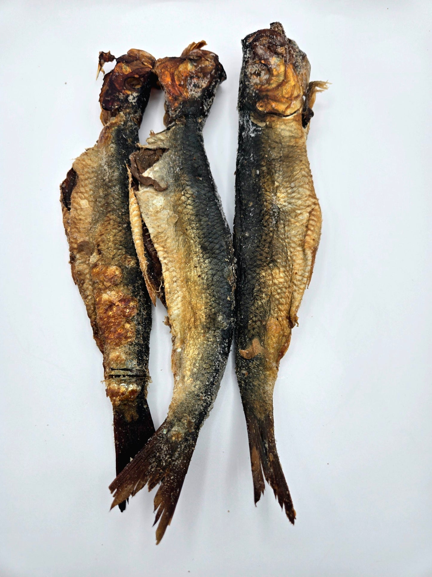 Smoked Herring - African Lantern