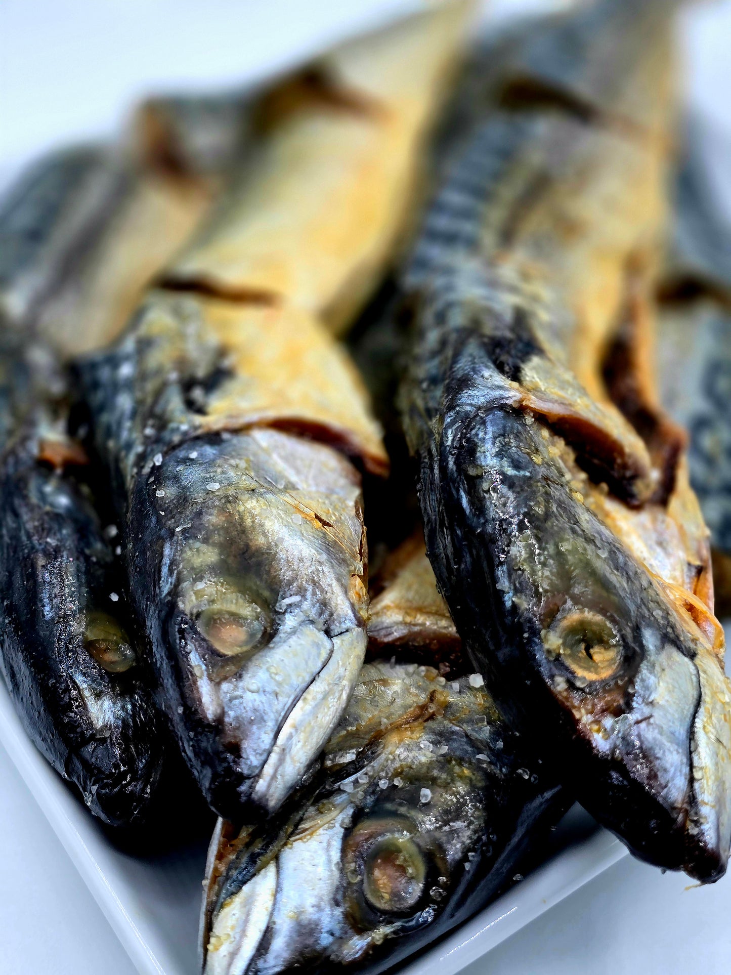 Salted Mackerel - African Lantern