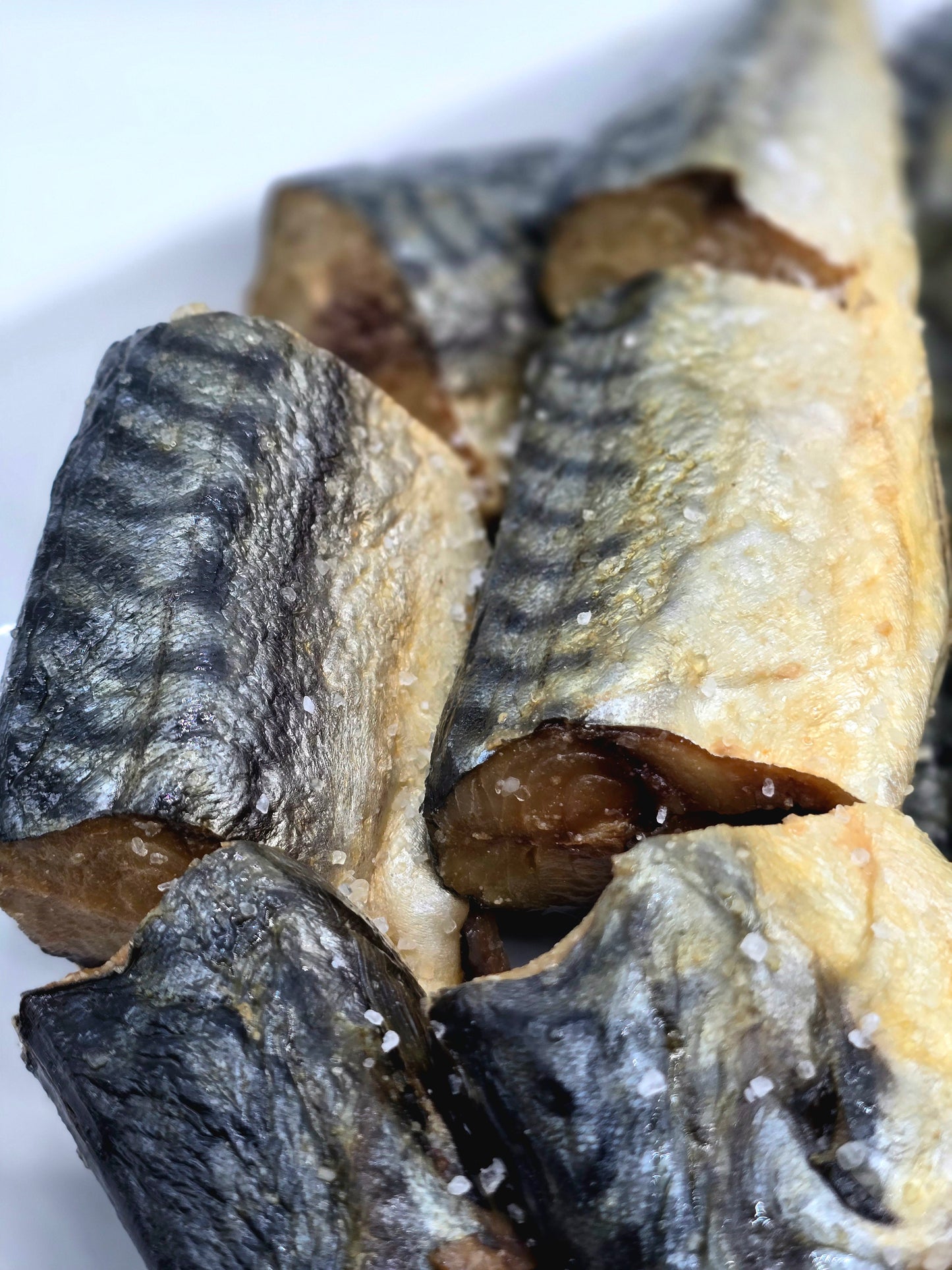Salted Mackerel - African Lantern