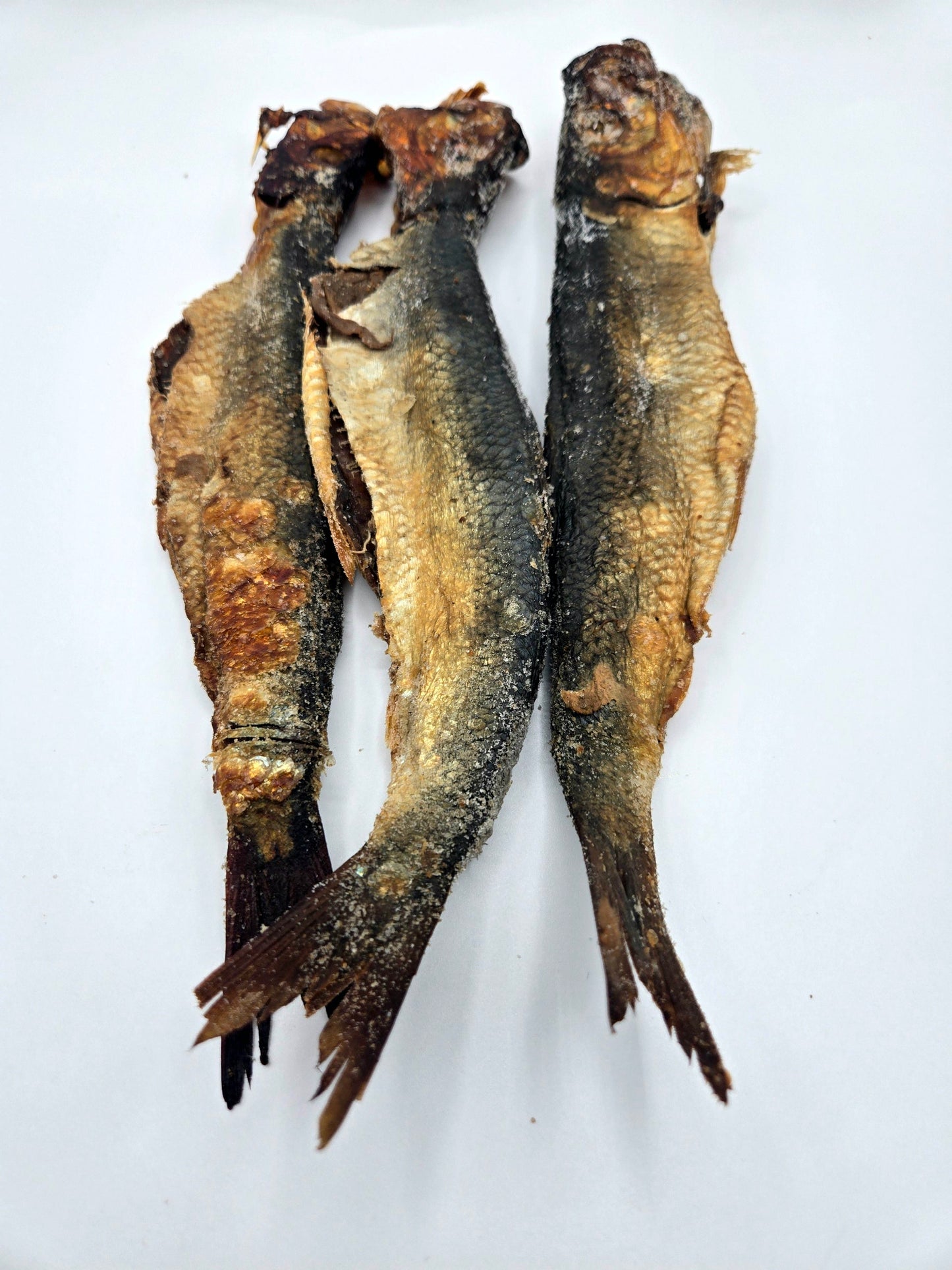 Smoked Herring - African Lantern