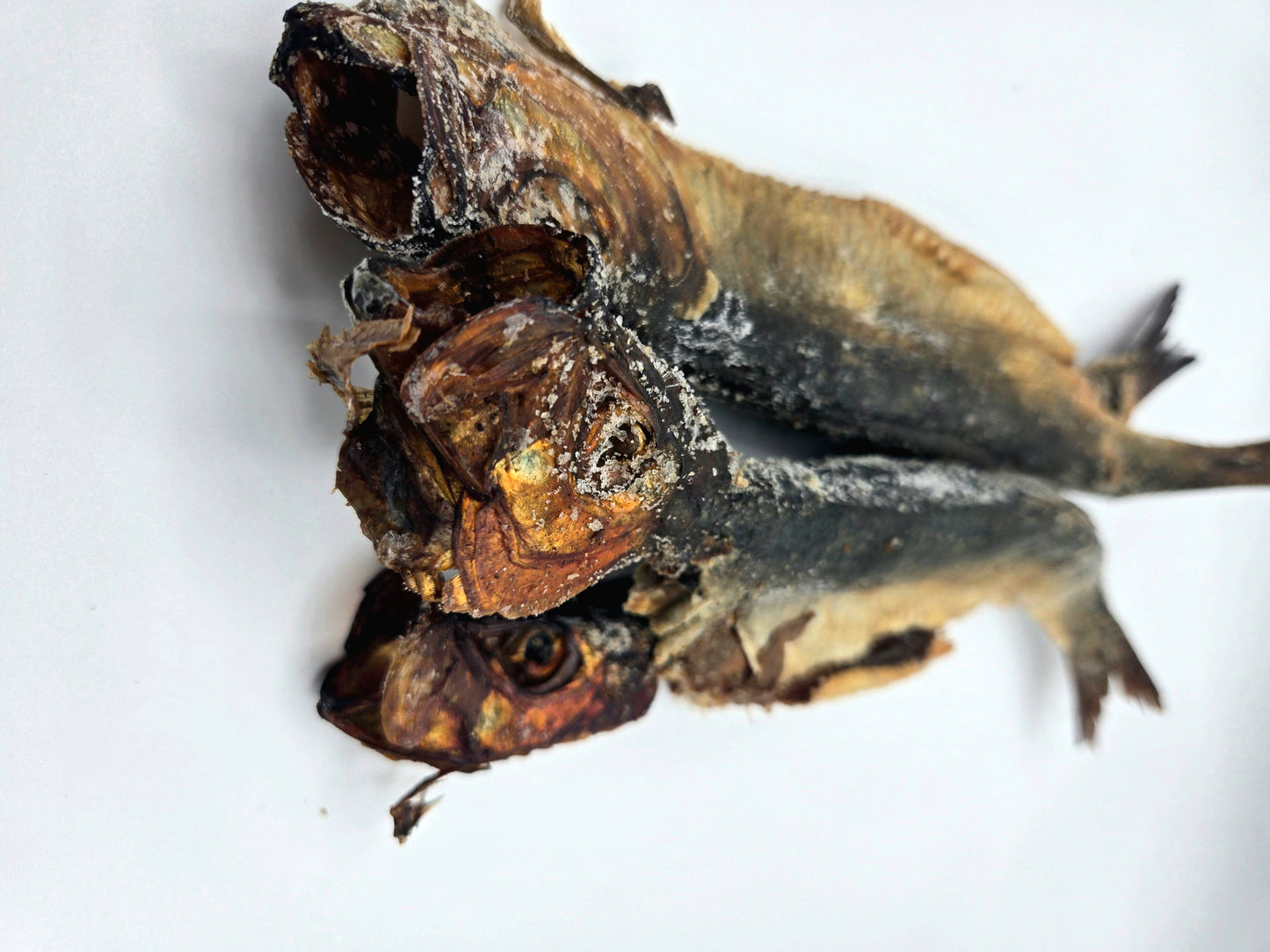 Smoked Herring - African Lantern
